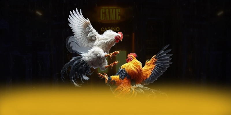 ĐÁ GÀ TRỰC TIẾP - Nhà cái được cộng đồng yêu thích nhất 2025 – Tìm hiểu thêm về các sản phẩm của ĐÁ GÀ TRỰC TIẾP