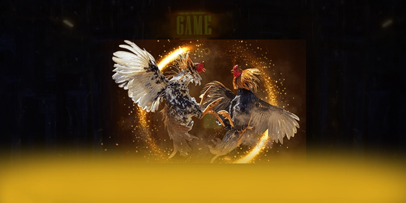 DAGA88 - Kết luận & gợi ý trải nghiệm theo đánh giá từ người dùng.