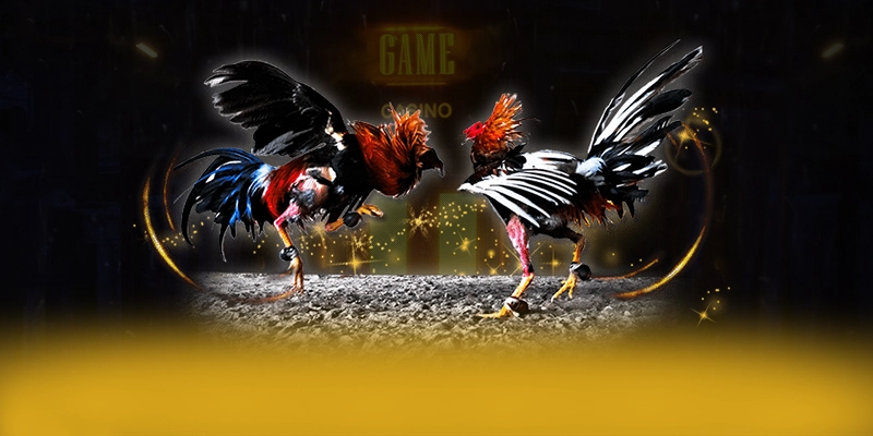 
Khám phá ngay SA88 - Cổng game bài được đánh giá cao được cộng đồng đánh giá cao
