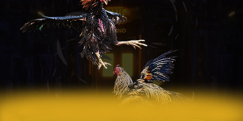 CONGA6789 - Trang game đáng tin cậy được đánh giá cao – Tìm hiểu thêm về CONGA6789