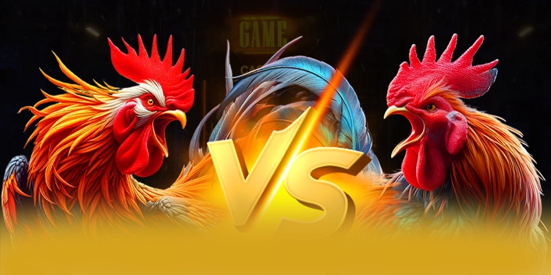 WIN79 - Cổng giải trí mang đến thế giới game đa dạng 2025 – Khám phá ngay các trò chơi tại WIN79