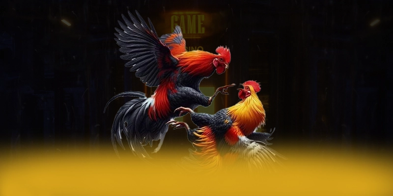 AU88 - Tổng quan về hệ thống một cách tổng quan.