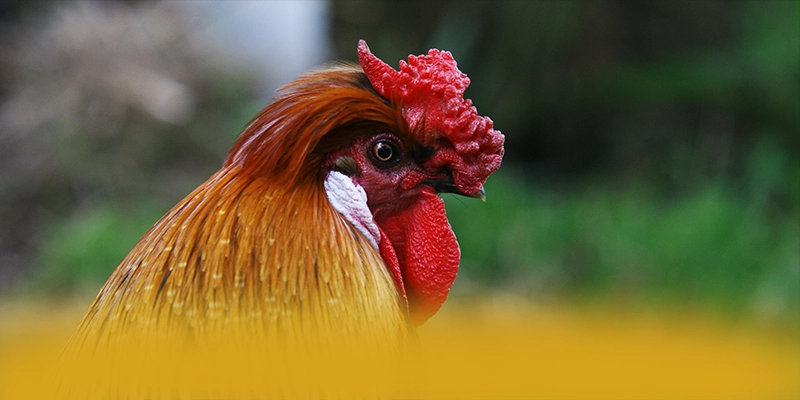 UU88 – Cổng cá cược được yêu thích nhất, được cộng đồng đánh giá tích cực.