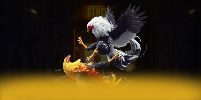 NK88 - Nhà cái chất lượng hiện nay