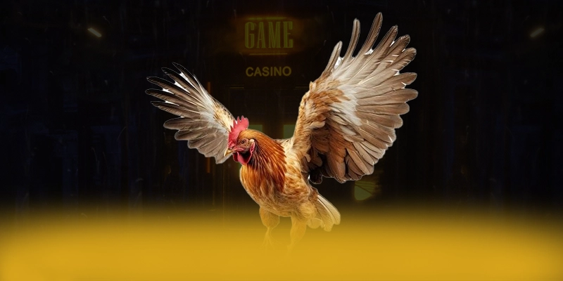 soi kèo bóng đá - Sanh game quy tu nhieu sieu pham hot hien nay soi kèo bóng đá - Sanh game quy tu nhieu sieu pham hot hien nay