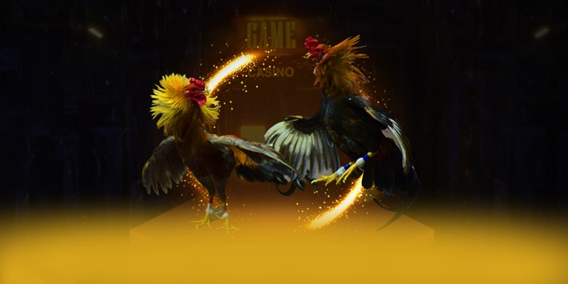 cakhiatv - Cong game so huu kho game phong phu tai Viet Nam