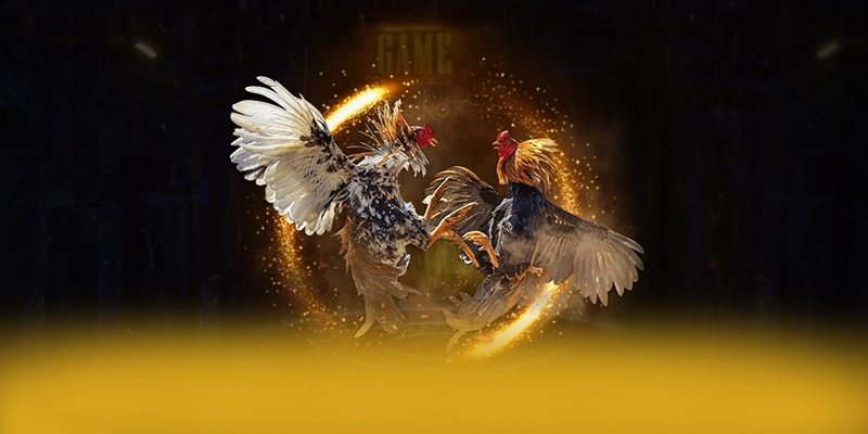 8XBET - Nhà cái có giấy phép quốc tế an toàn nhất