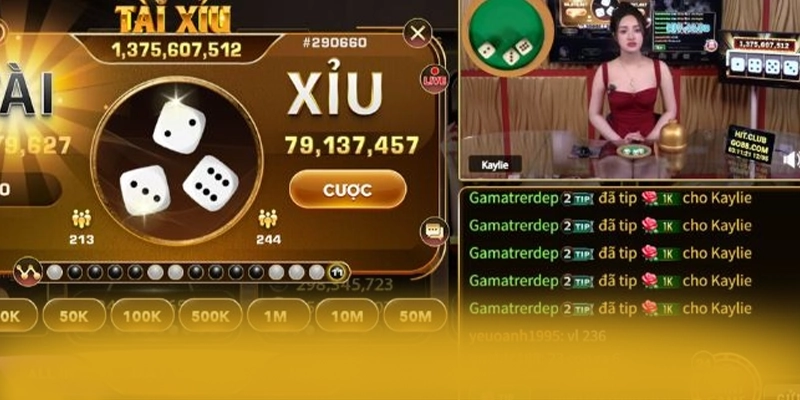 Đánh giá toàn diện 8XBET - Nhà cái cá cược được tin dùng tại Việt Nam
