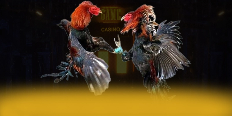 Review chi tiết vabet - Nhà cái cá cược được tin dùng tại Việt Nam