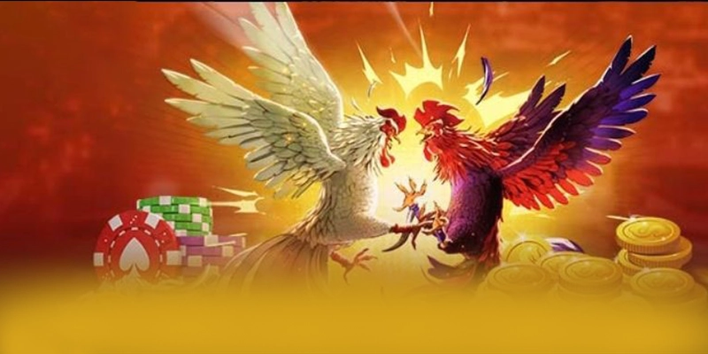 Độ tin cậy thông tin người dùng tại BET168
