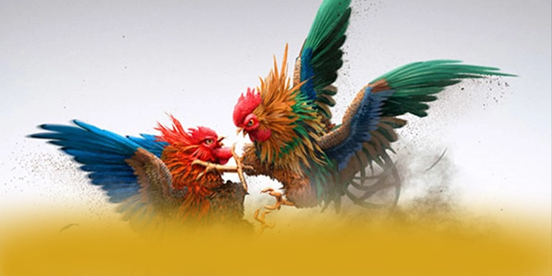 An toàn tài khoản tại SUNWIN